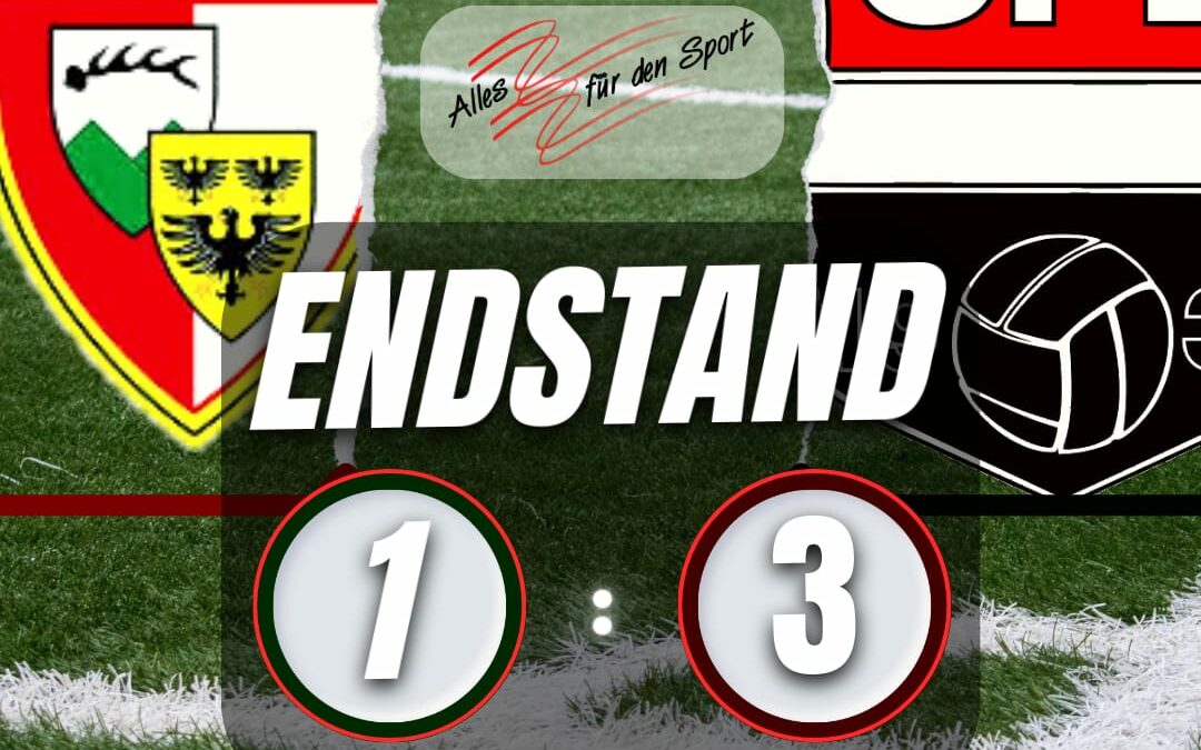 SG Spielberg-Berneck/Zwerenberg – SFE 1:3