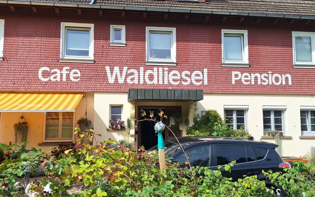 Radtreff – Samstagstour zur Backhaushocketse